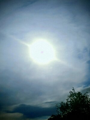 Img 20260203 161108 2